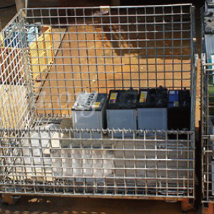 パレティーナ（大）