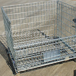 パレティーナ（小）